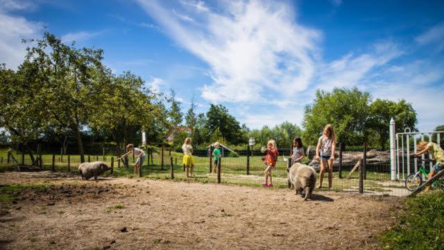 Welcome In - Oranjezon - Vakantiehuis 6 Personen فراويندبولدار المظهر الخارجي الصورة